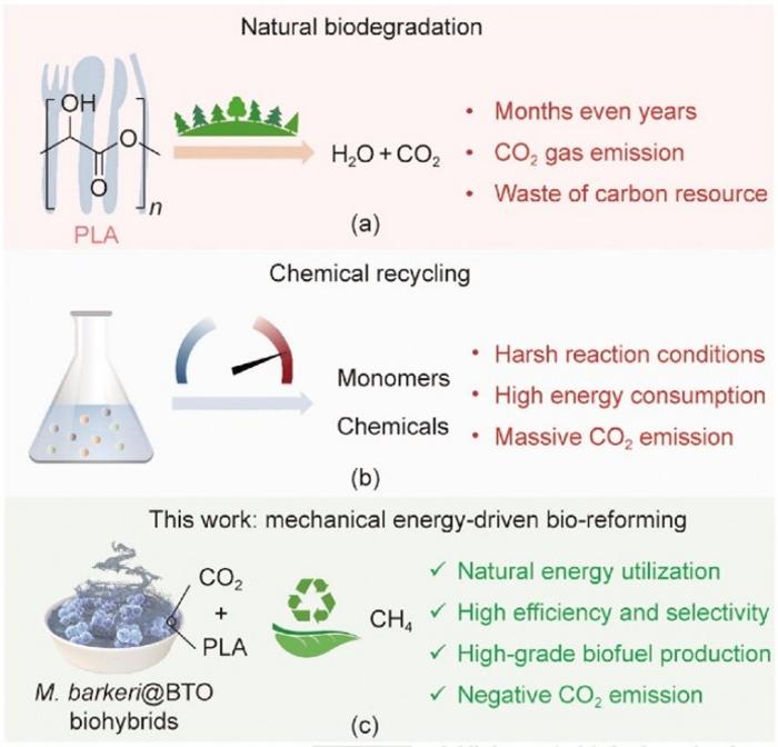 Schematic illustration of the natural biodegradation...