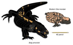 Size comparison of Bolg amondol vs a modern Gila monster
