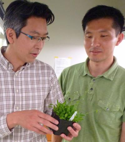 Takato Imaizumi and Young Hun Song, University of Washington