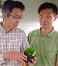 Takato Imaizumi and Young Hun Song, University of Washington