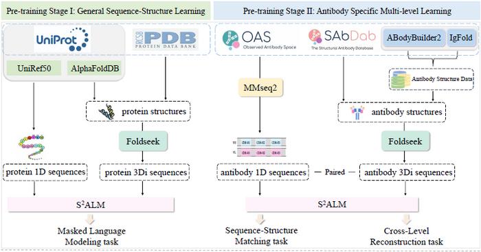 Schematic representation of the learning approach of S2ALM Model