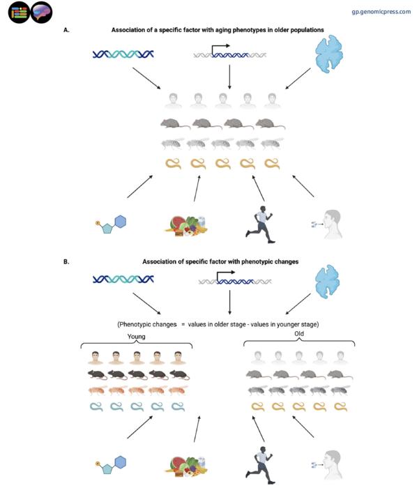 How to identify regulators of aging?