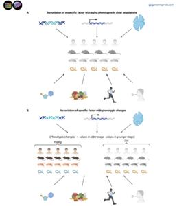 How to identify regulators of aging?
