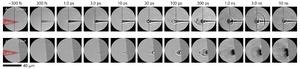 Following laser-induced changes from femtoseconds to nanoseconds