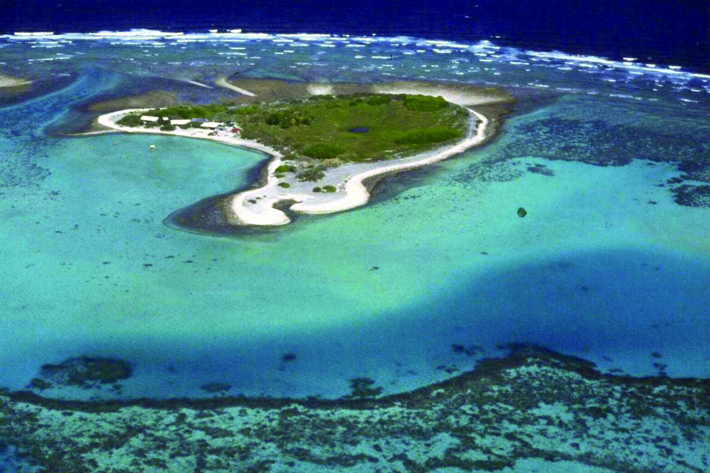 Great Barrier Reef Slowdown