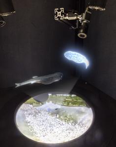 “The Matrix” for fish