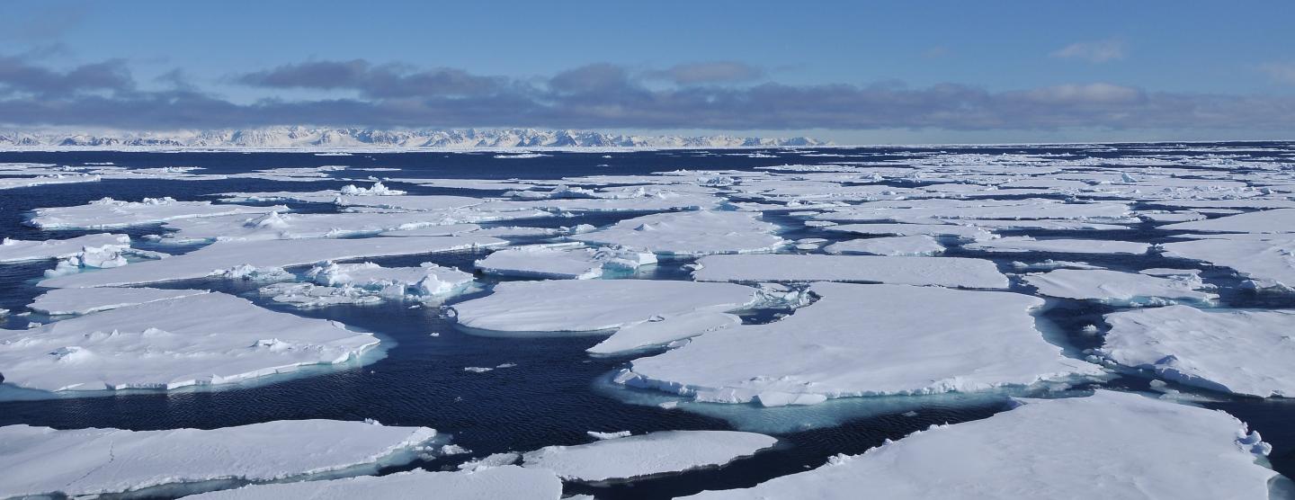 Polar Polynya
