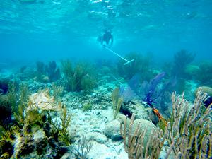 Leah Harper_MarineGEO Belize