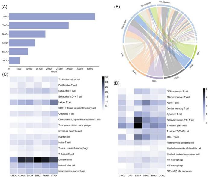 XGOF network construction for GI cancers.