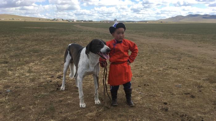 Boy and his dog