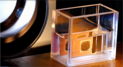 Polymer-Coated Catalyst Protects 
