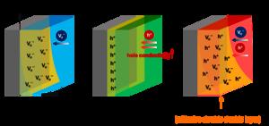 Schematic illustration of charge-carrier distributions at the interfaces of GCCCO-GDC, GCCCO-LSCF, and GCCCO-BCZYYb composite air electrodes.