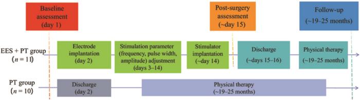 Study design and timeline of the EES + physical therapy (PT) group and the PT-only group.