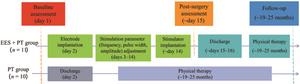 Study design and timeline of the EES + physical therapy (PT) group and the PT-only group.