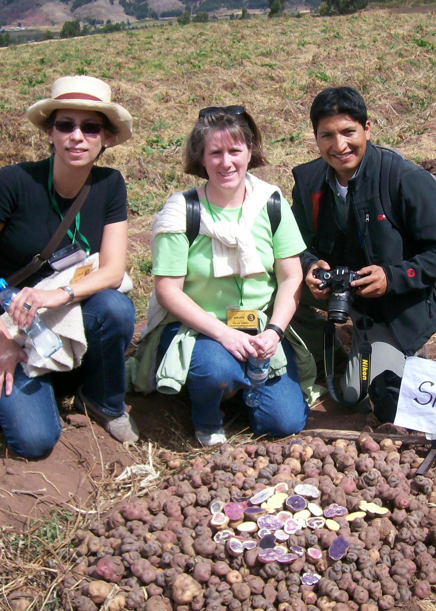 Robin Buell, Michigan State University