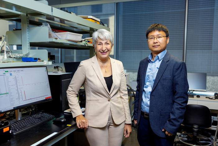 Sarah Sjaedi and Chunjiang An