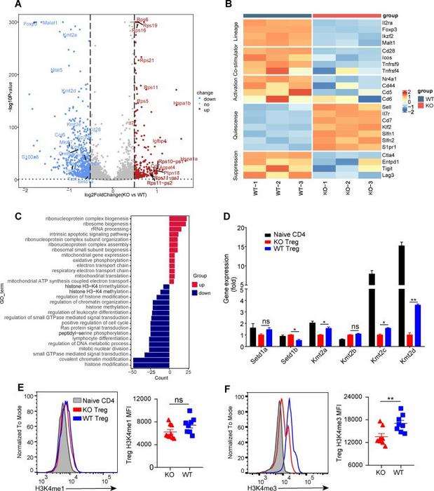 Transcriptional profiles of Treg cells in draining lymph nodes.