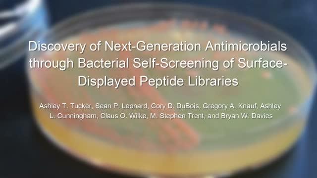 SLAY Method for Discovering Antibiotics