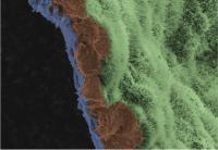 RPE Cells on the Biodegradable Scaffold