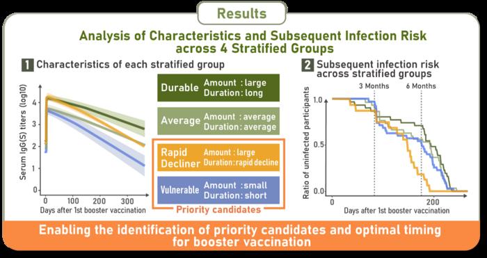 Four COVID-19 antibody response patterns identified