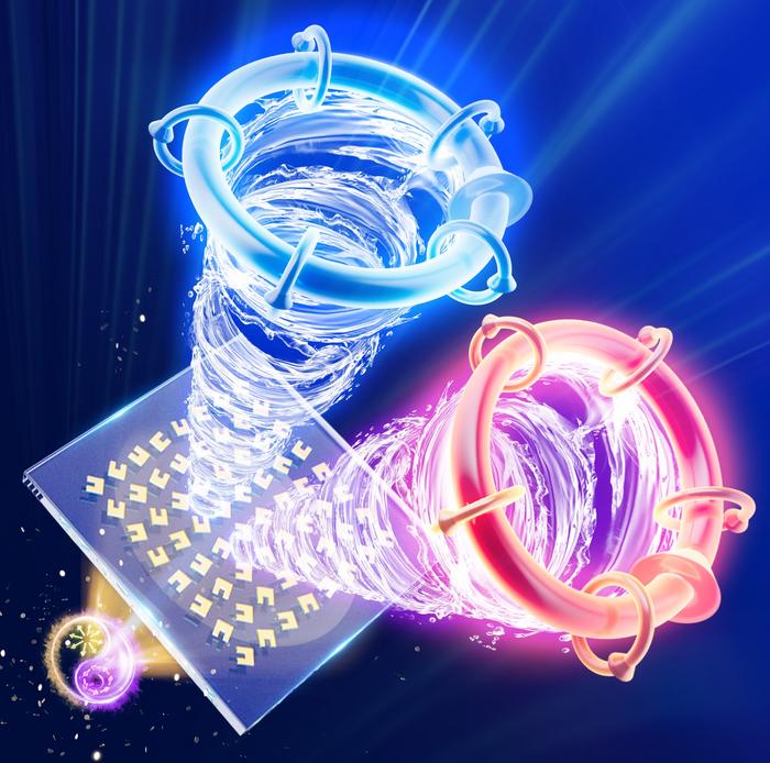 Illustration of electric-magnetic-switchable skyrmions