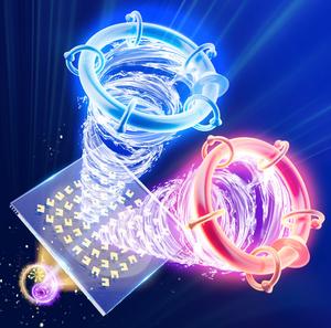 Illustration of electric-magnetic-switchable skyrmions