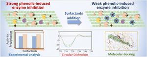 Researchers Decode Molecular Secrets of Surfactant-Mediated Enzyme Protection in Lignocellulose Biorefining