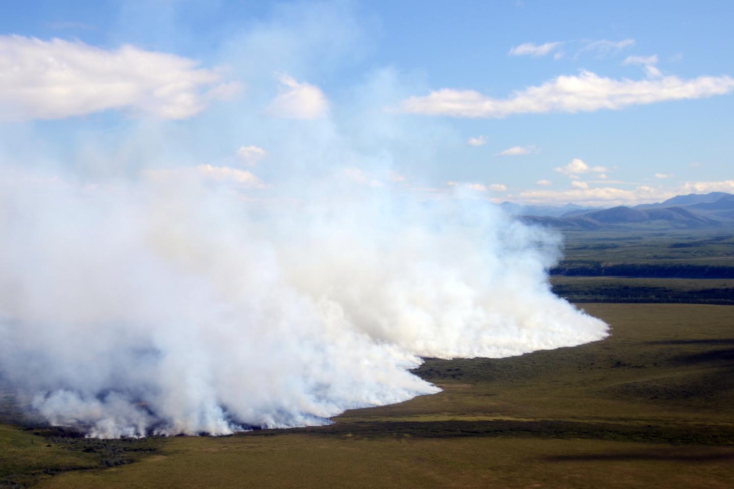 Tundra Fire