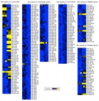 Identification of Distinct microRNA Patterns in Healthy Donors and Cancer Patients