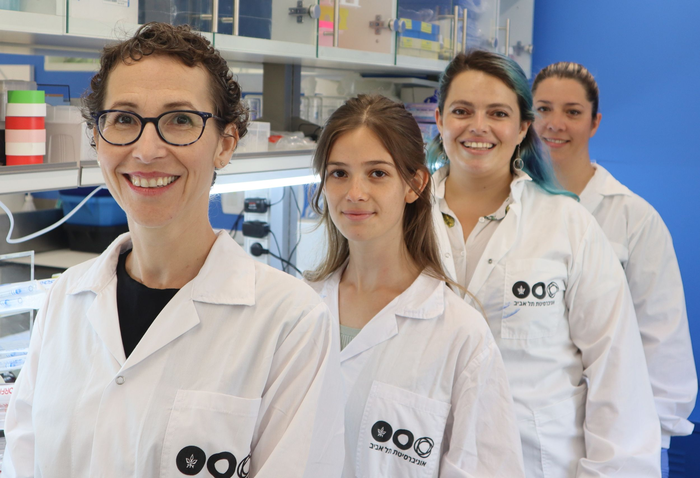 Research Team