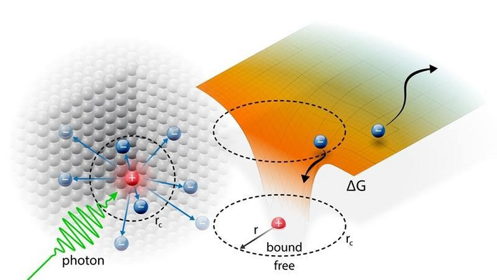 Excitons Need Space to Separate: Free Carrier Production in Organic Solar Cells