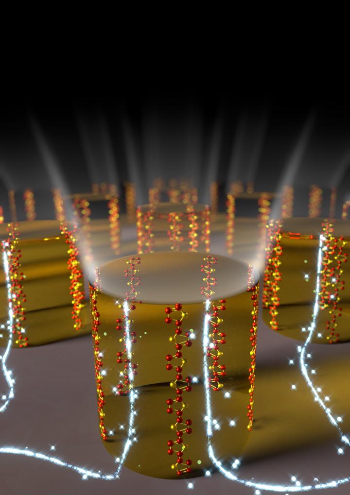 Illustration of Semiconducting Polymers