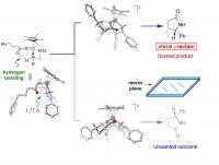 Figure 2: the Iridium Catalyst Works as a Hydrogen Bond Donor in the Reaction System
