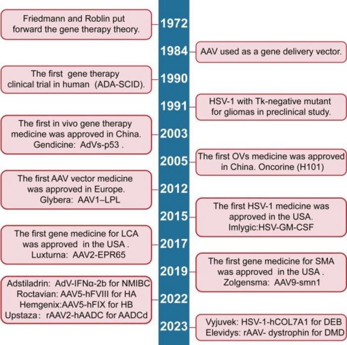 A timeline of in vivo gene therapy.