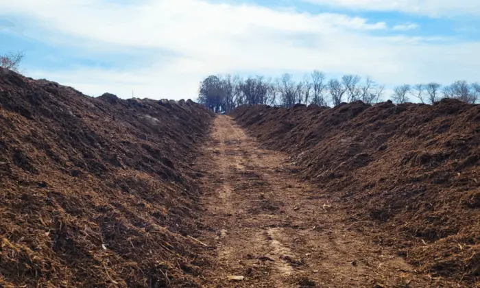 Compost Piles