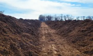 Compost Piles