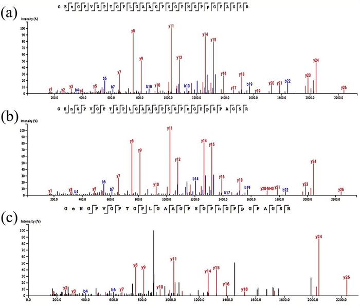 The MS/MS spectra of diagnostic peptides covering taxonomic specific variant (COL1A2 757I/L) of Bubalus mephistopheles.
