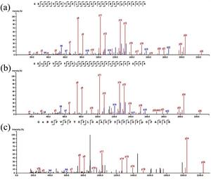 The MS/MS spectra of diagnostic peptides covering taxonomic specific variant (COL1A2 757I/L) of Bubalus mephistopheles.