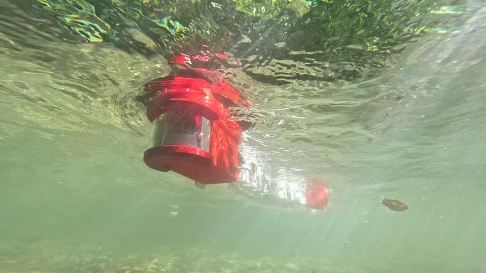 The larval zebrafish robot, Zbot. 2025 BioRob EPFL CC BY SA 4.0