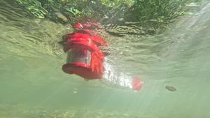 The larval zebrafish robot, Zbot. 2025 BioRob EPFL CC BY SA 4.0