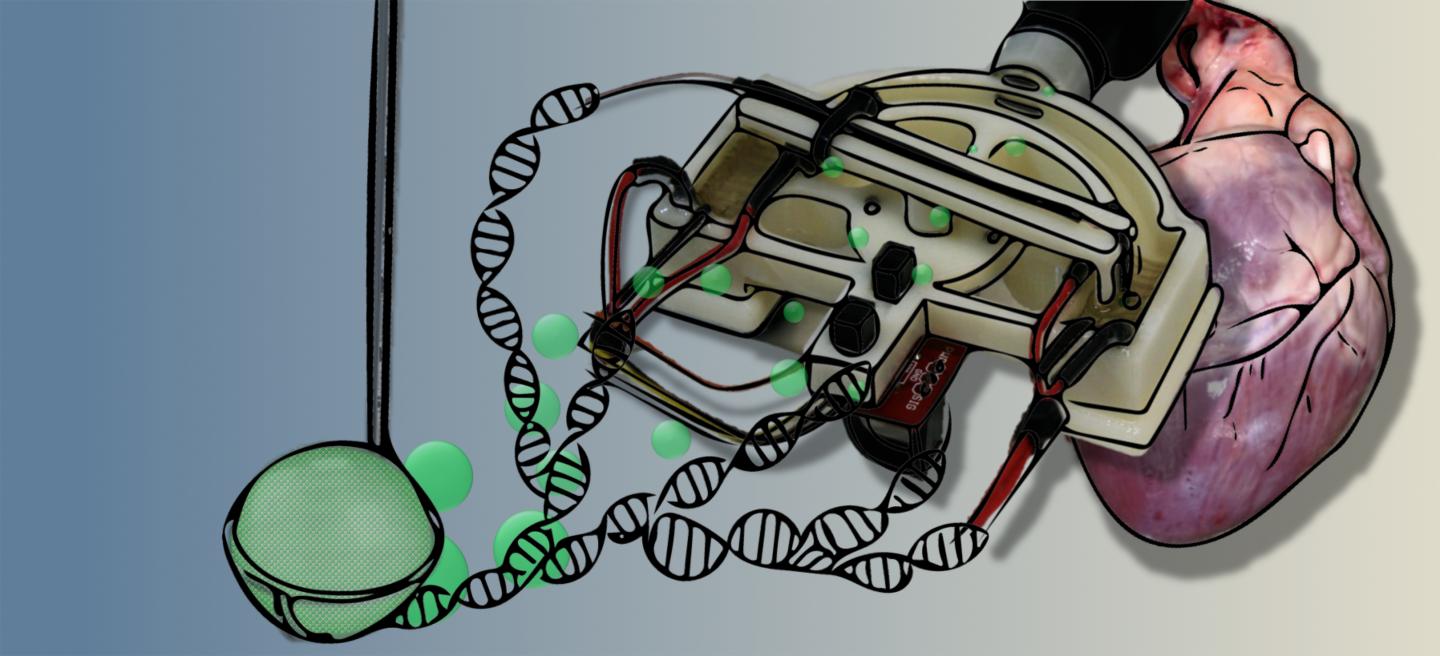 Innovative qPCR Using Interfacial Effects to Enable Low Threshold Cycle Detection