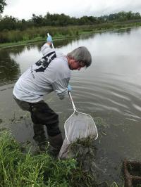 Specimen Collection the Alapaha River Watershed in Georgia
