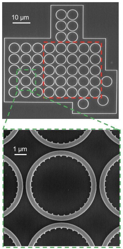 Microscopic image of microlaser array