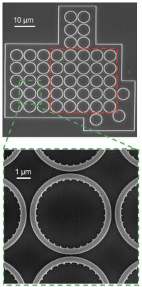 Microscopic image of microlaser array