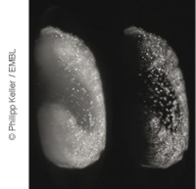 Improved Imaging