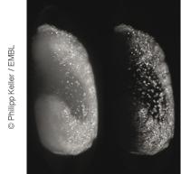 Improved Imaging