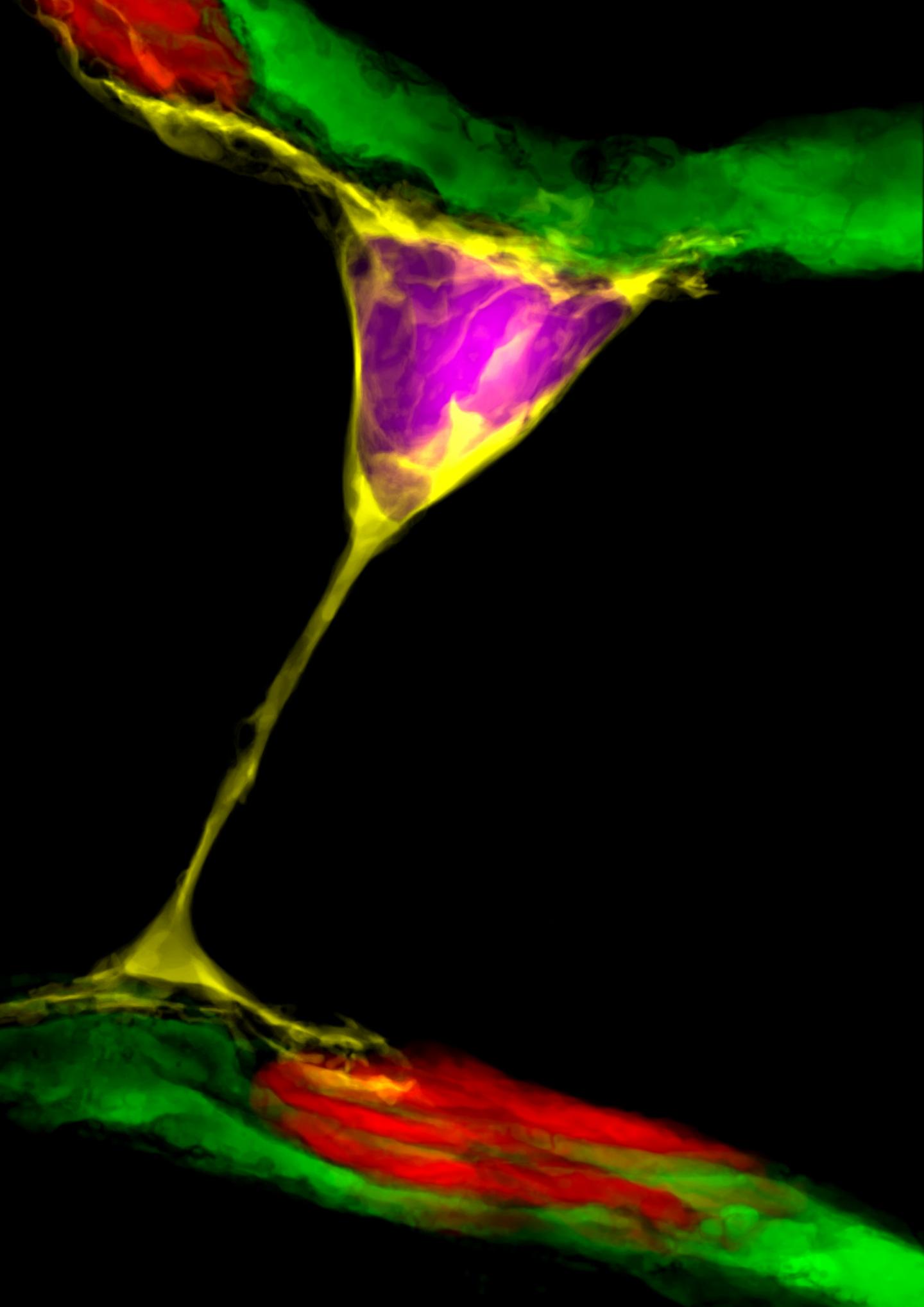 Nanotubes