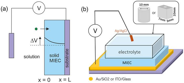 Experimental setup