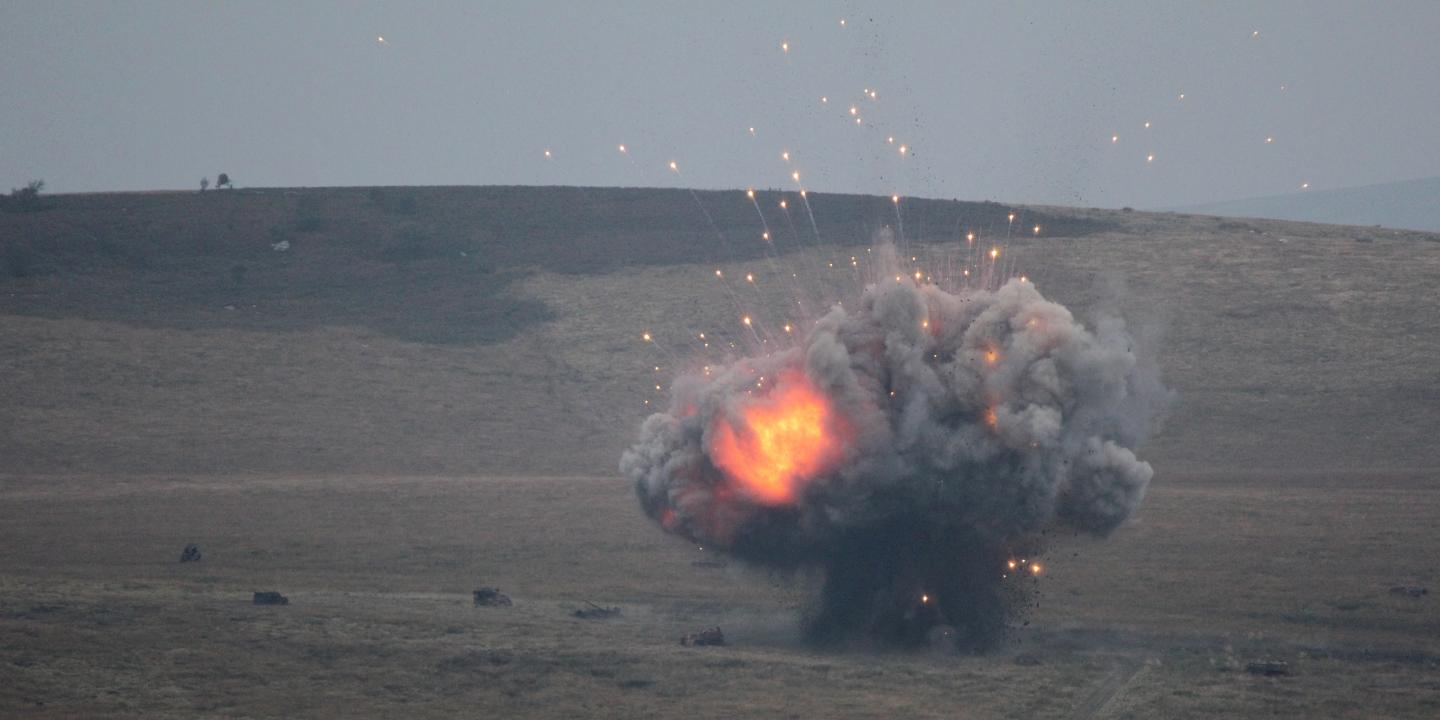 Mutation Protects Plants Against Harmful Explosive, TNT (4 of 4)