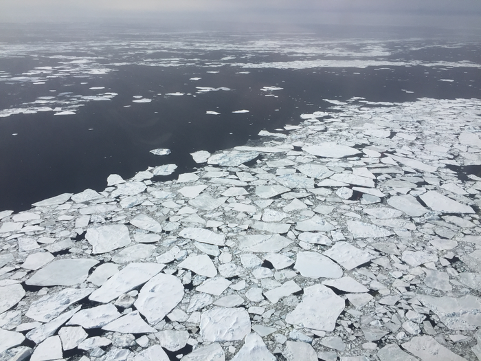 Broken Floes
